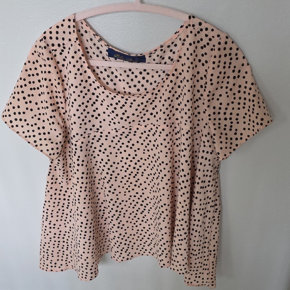 Blue Rain Pink Polka Dot Blouse